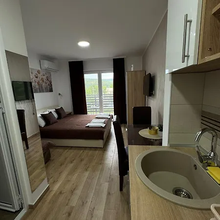 Apartment Luna, Borsko Jezero