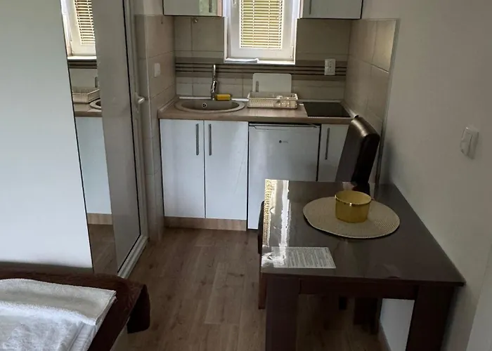 公寓 Luna, Borsko Jezero 博尔